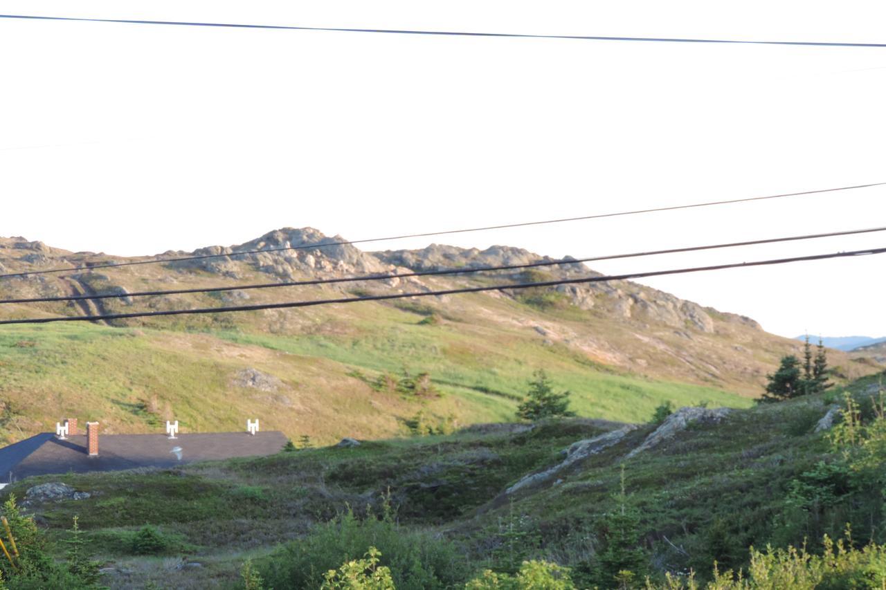 North 99 Motel Twillingate Exterior foto